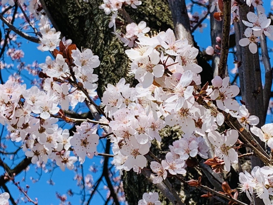 IMG_7728.jpg?type=w966