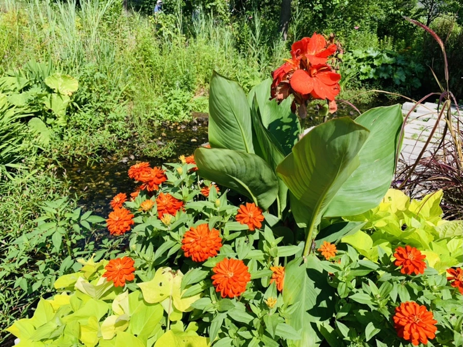 IMG_0622.jpg?type=w966