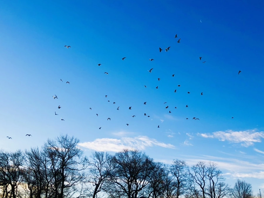 IMG_0897.jpg?type=w966