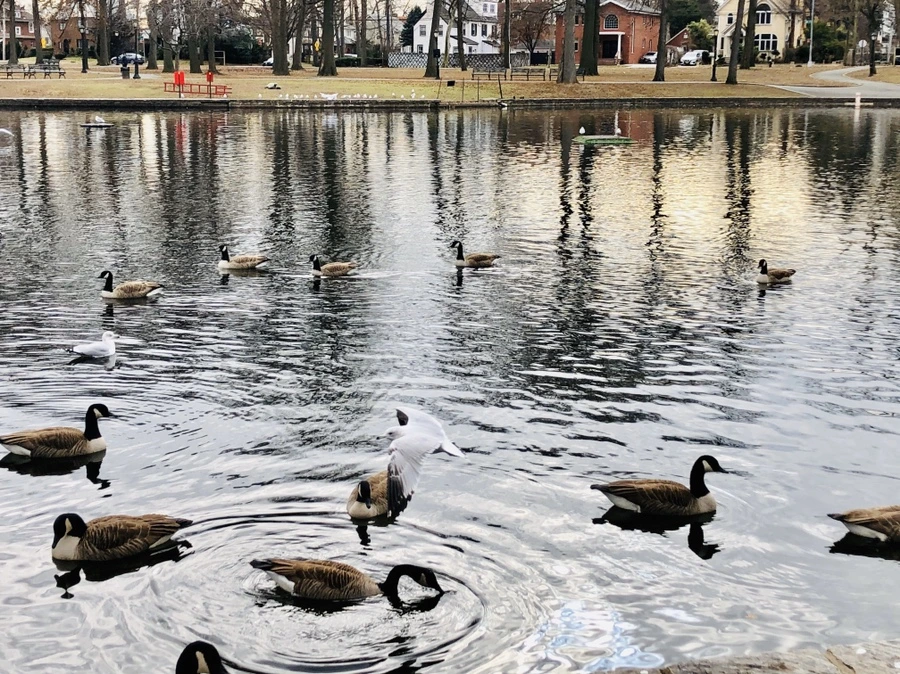 IMG_3264.jpg?type=w966