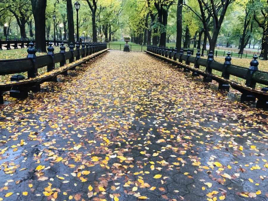 IMG_3141.jpg?type=w966