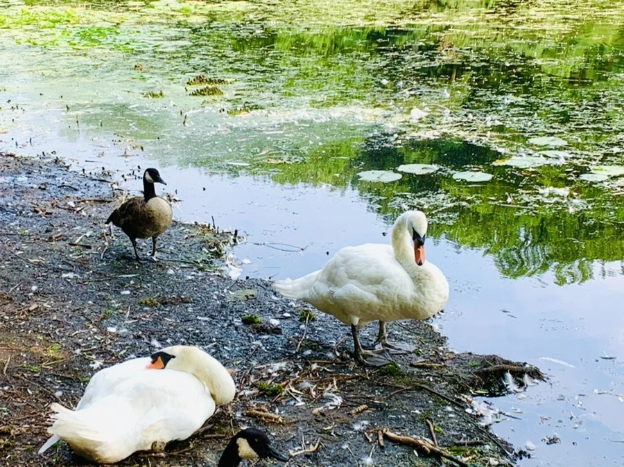 cSwKPi7-csGEoJ0TQDp_siy53Zc