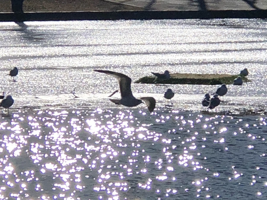 IMG_6694.jpg?type=w966