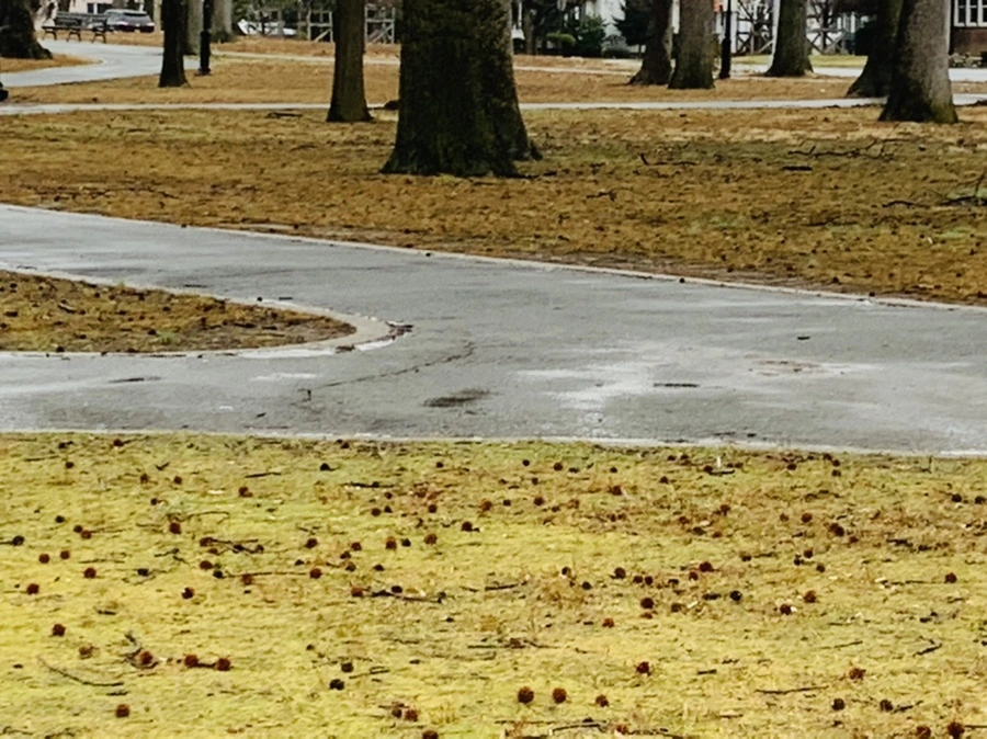 IMG_2076.jpg?type=w966