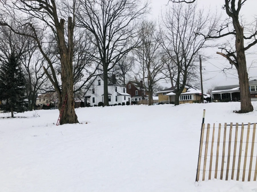 IMG_2760.jpg?type=w966