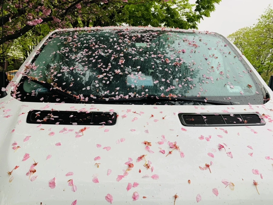 IMG_9257.jpg?type=w966