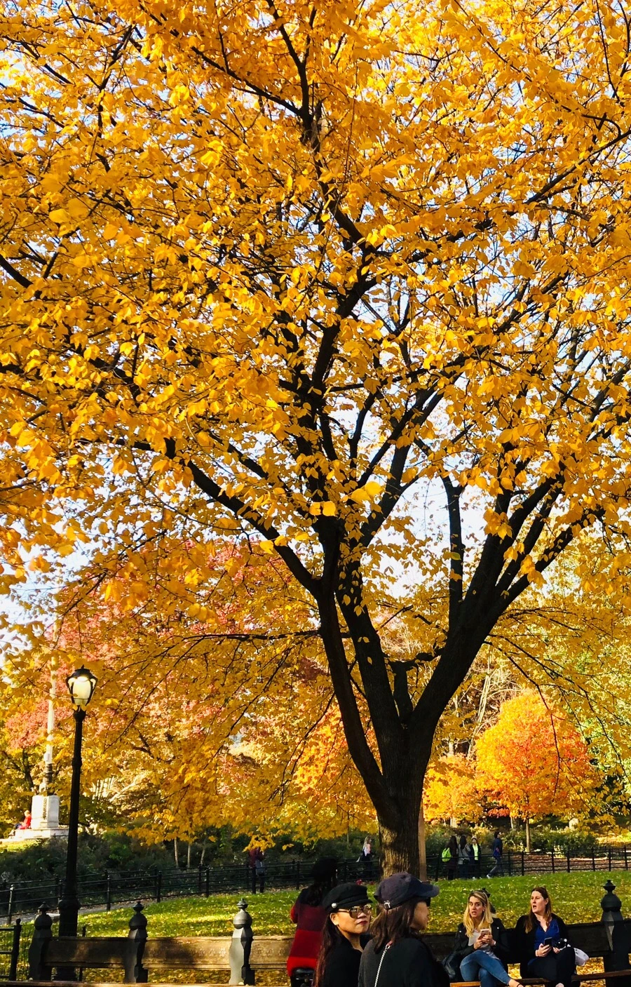 IMG_7518.jpg?type=w966