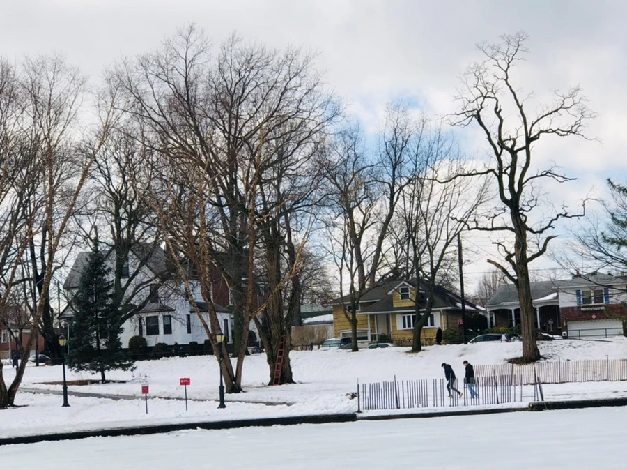 IMG_2902.jpg?type=w966