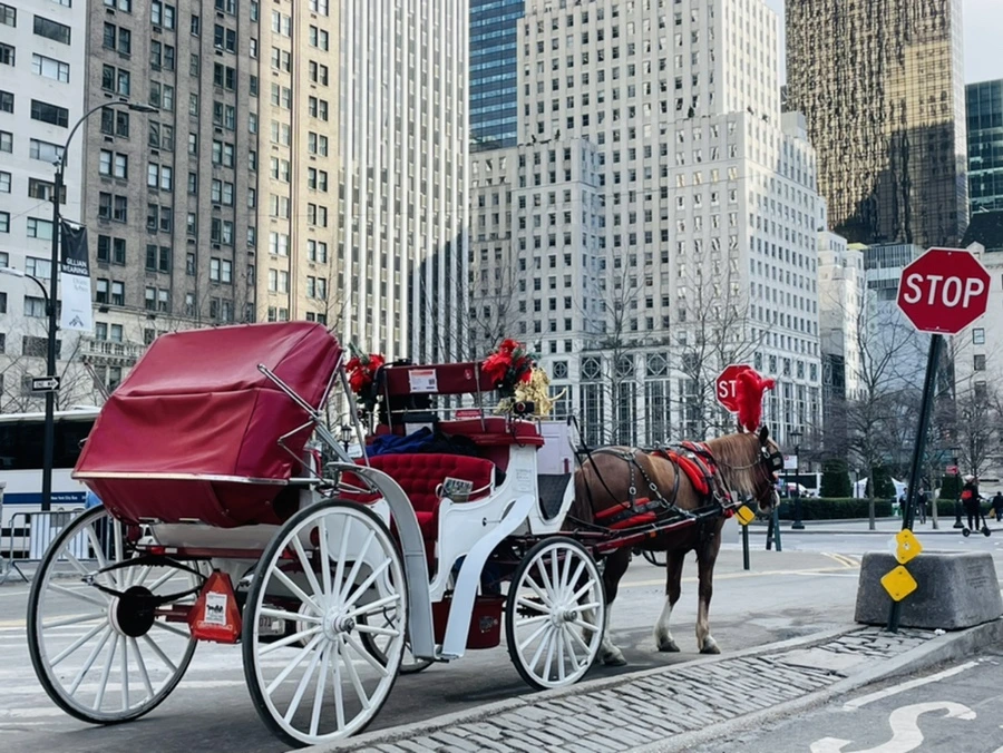 IMG_5403.jpg?type=w966