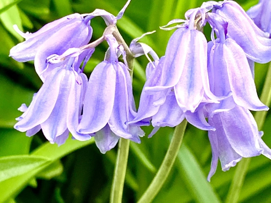 IMG_9082.jpg?type=w966