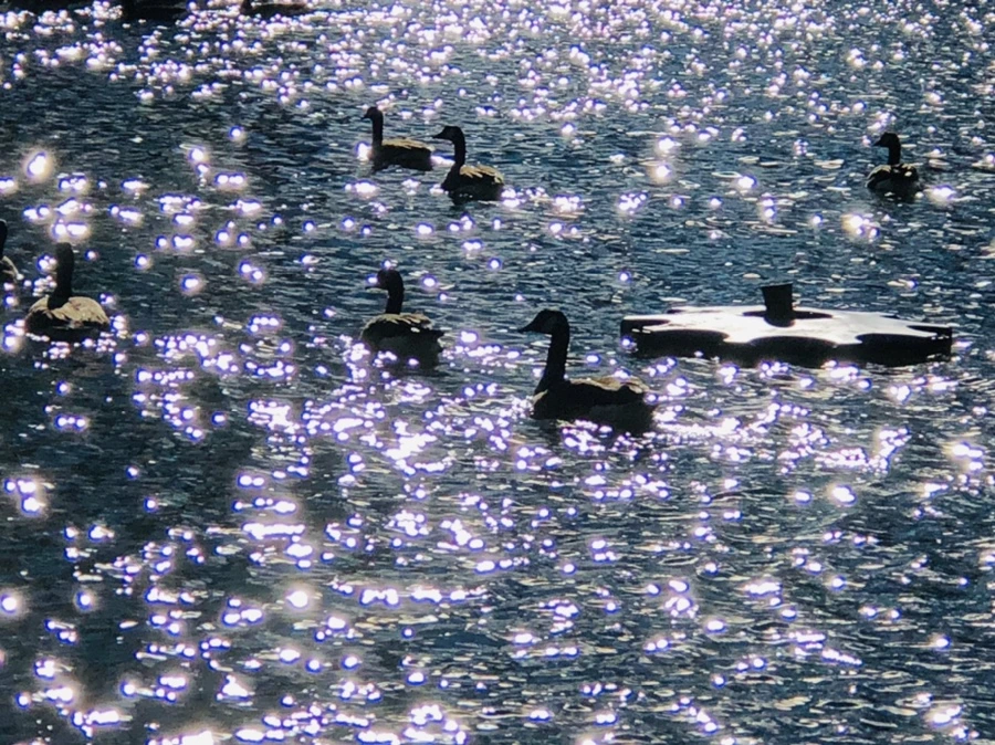 IMG_9196.jpg?type=w966