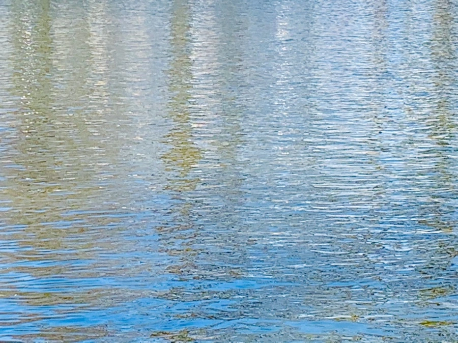 IMG_9900.jpg?type=w966