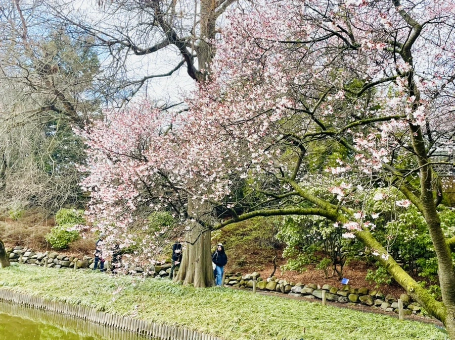 IMG_7489.jpg?type=w966