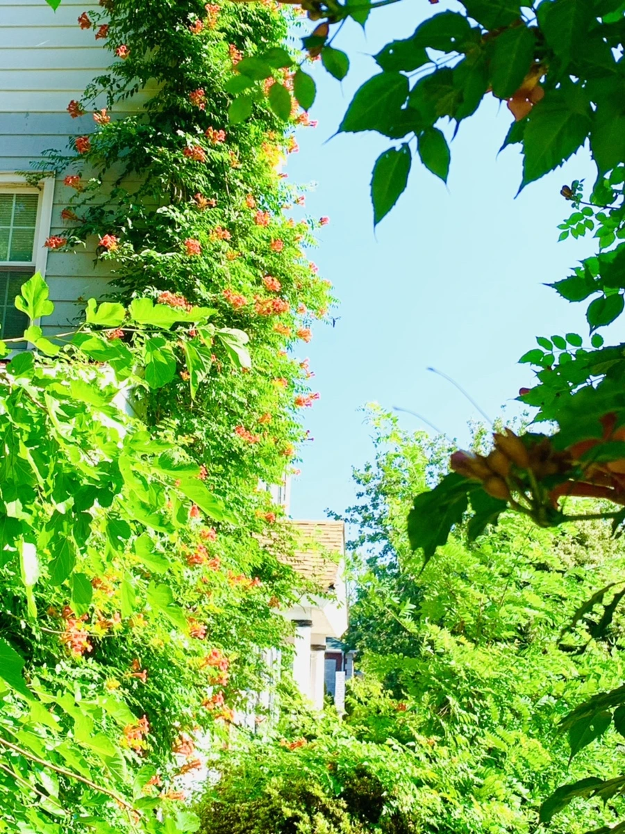 IMG_8705.jpg?type=w966