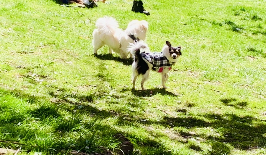 IMG_5883.jpg?type=w966