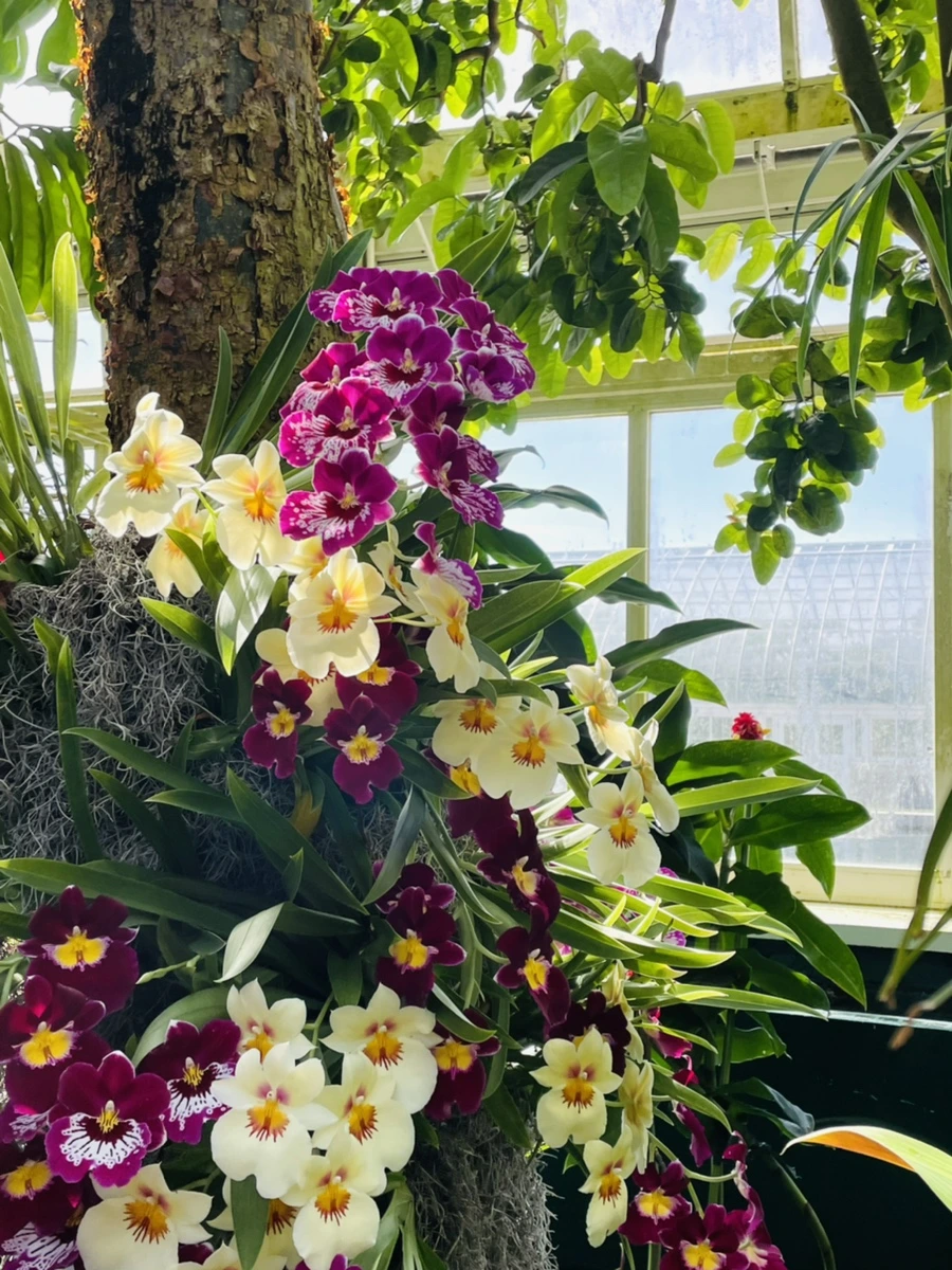 IMG_6412.jpg?type=w966