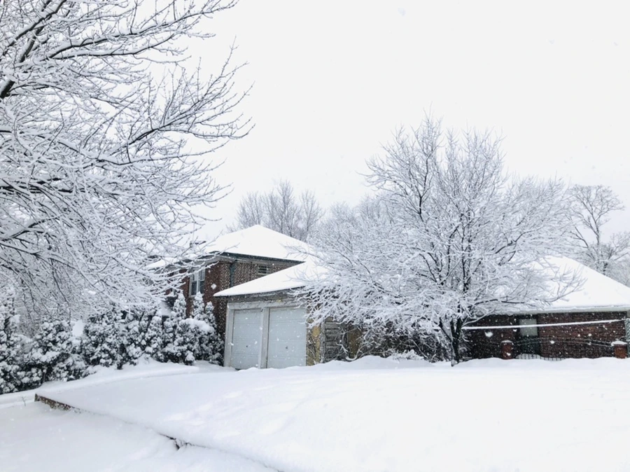 IMG_0952.jpg?type=w966