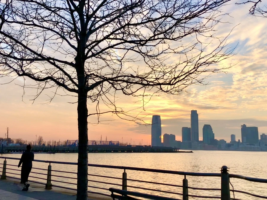 IMG_2993.jpg?type=w966