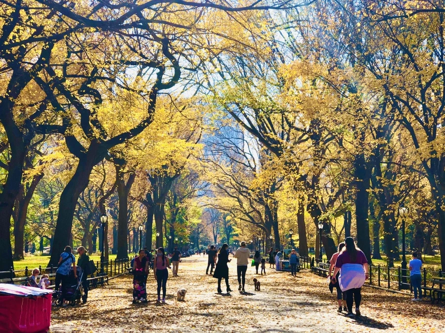 IMG_4284.jpg?type=w966