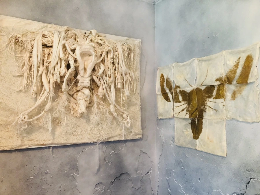 IMG_7216.jpg?type=w966