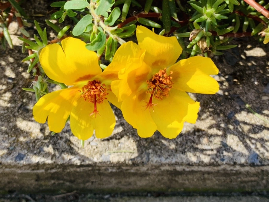 IMG_6714.jpg?type=w966