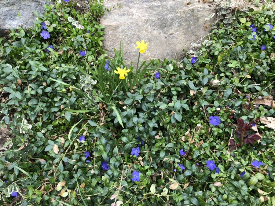 IMG_2610.jpg?type=w966