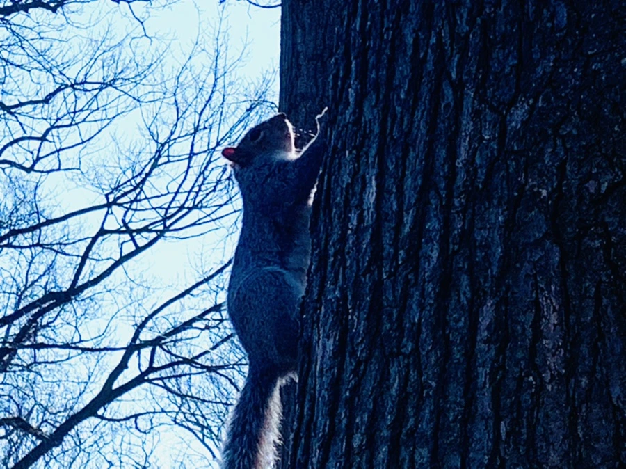 IMG_6951.jpg?type=w966