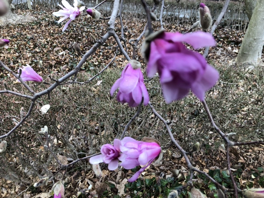 IMG_2391.jpg?type=w966