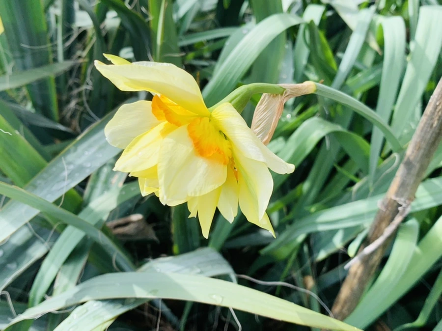 IMG_6377.jpg?type=w966