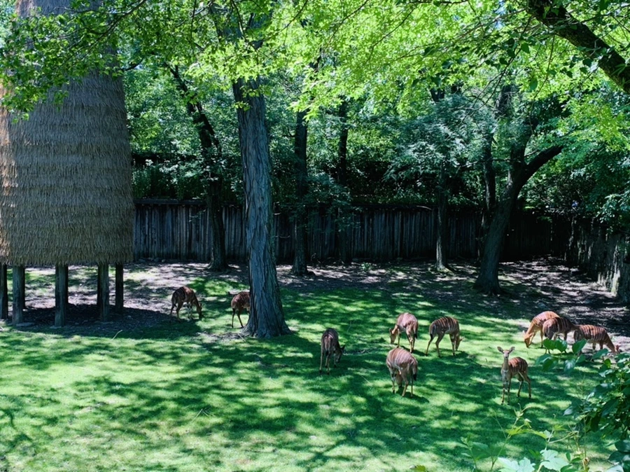 IMG_4193.jpg?type=w966