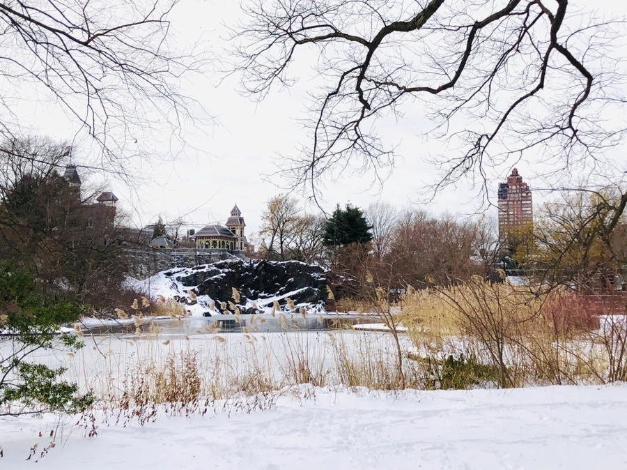 IMG_7294.jpg?type=w966