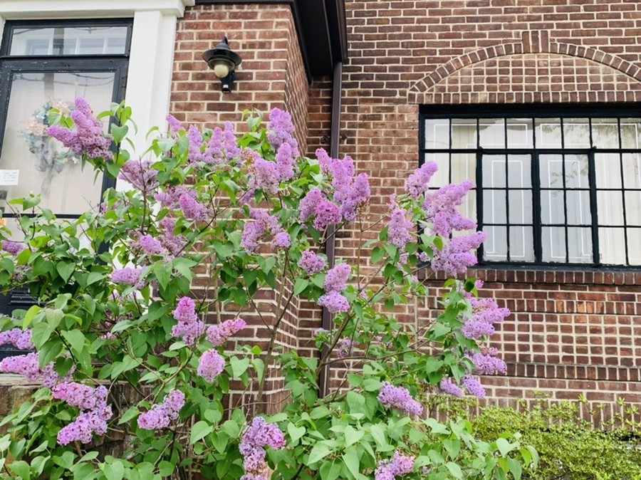 IMG_9572.jpg?type=w966