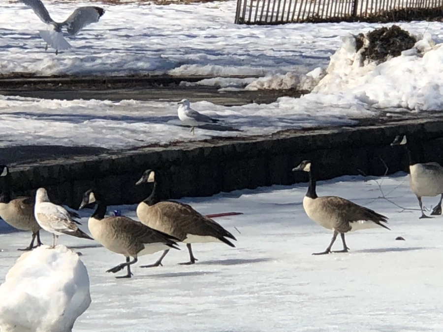 IMG_4832.jpg?type=w966