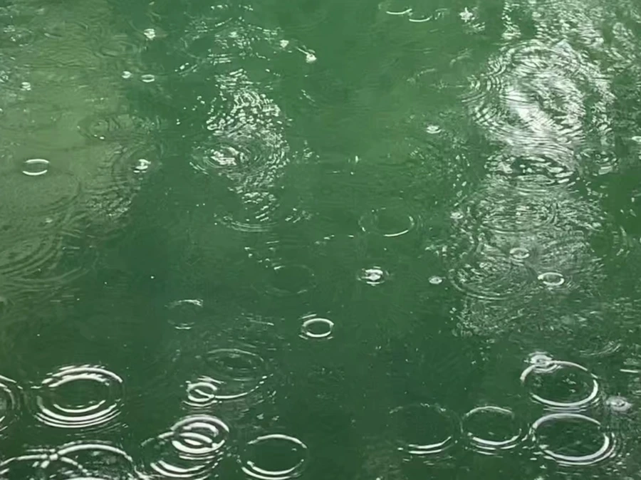 IMG_1718.jpg?type=w966