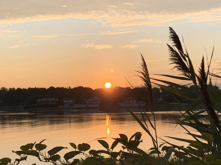 IMG_1277.jpg?type=w966