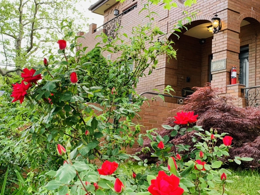 IMG_4935.jpg?type=w966