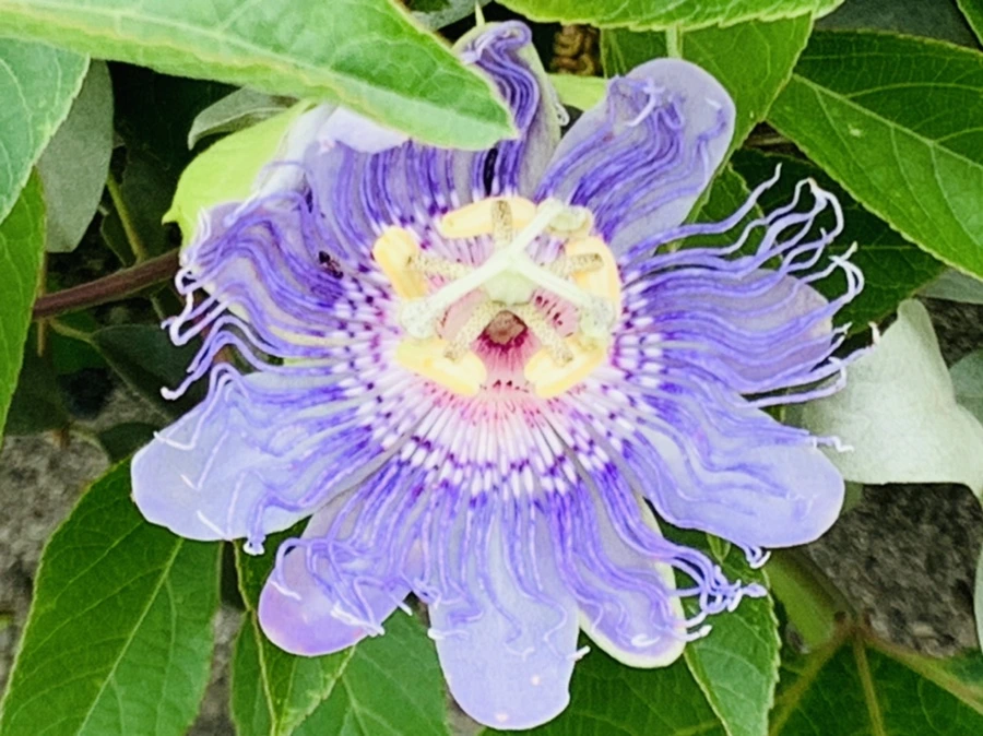 IMG_9478.jpg?type=w966