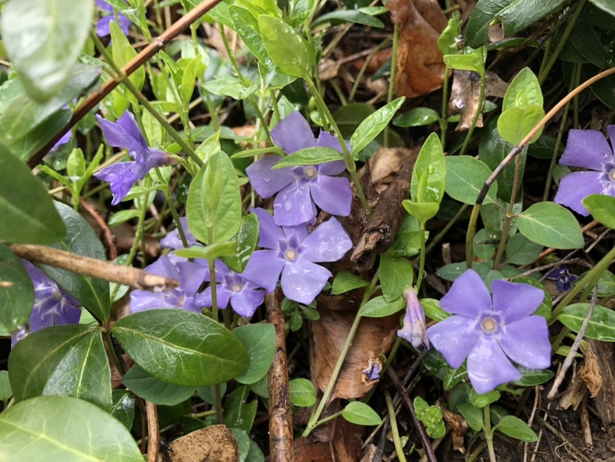 IMG_6436.jpg?type=w966