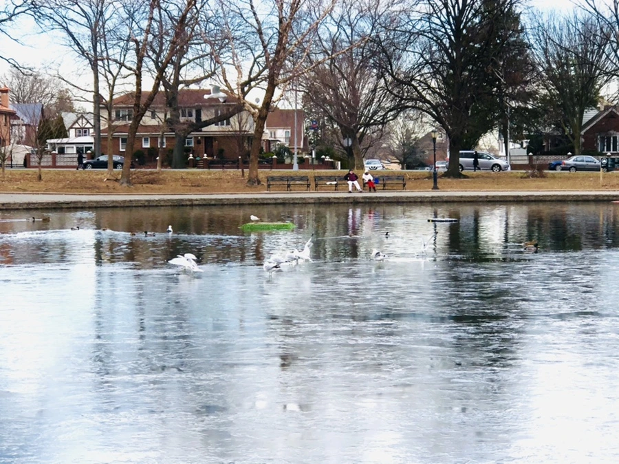 IMG_0965.jpg?type=w966