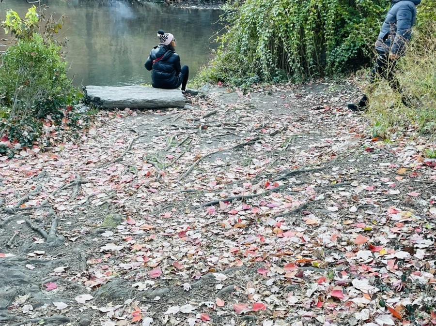 IMG_5028.jpg?type=w966