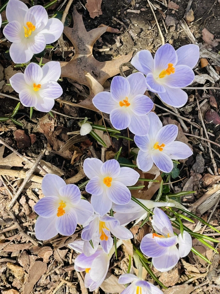 IMG_5176.jpg?type=w966