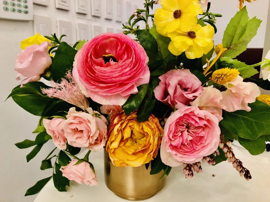 IMG_5883.jpg?type=w966