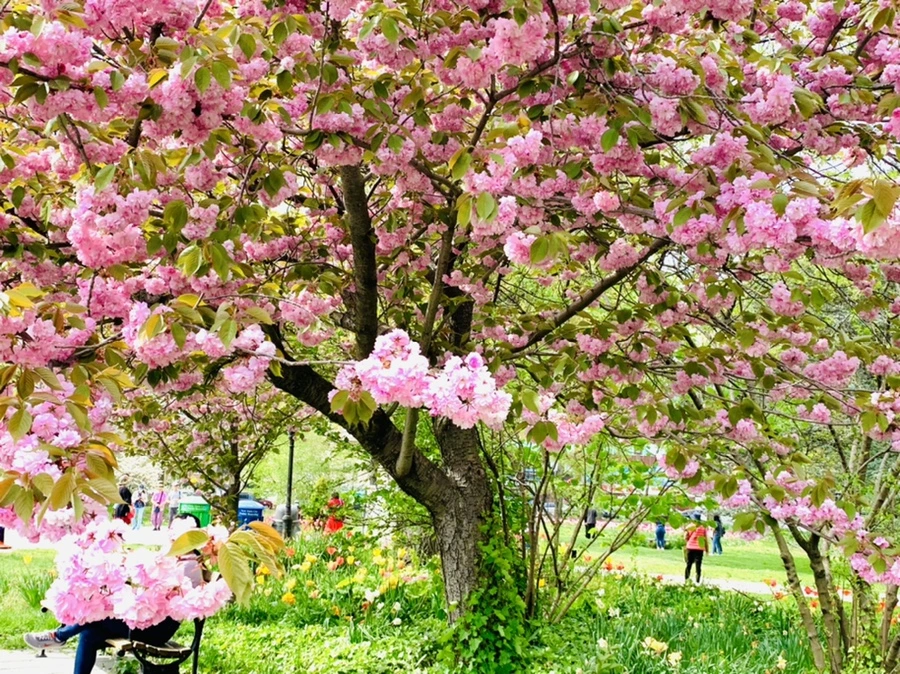 IMG_6993.jpg?type=w966