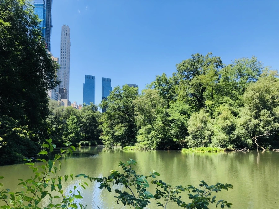 IMG_5703.jpg?type=w966