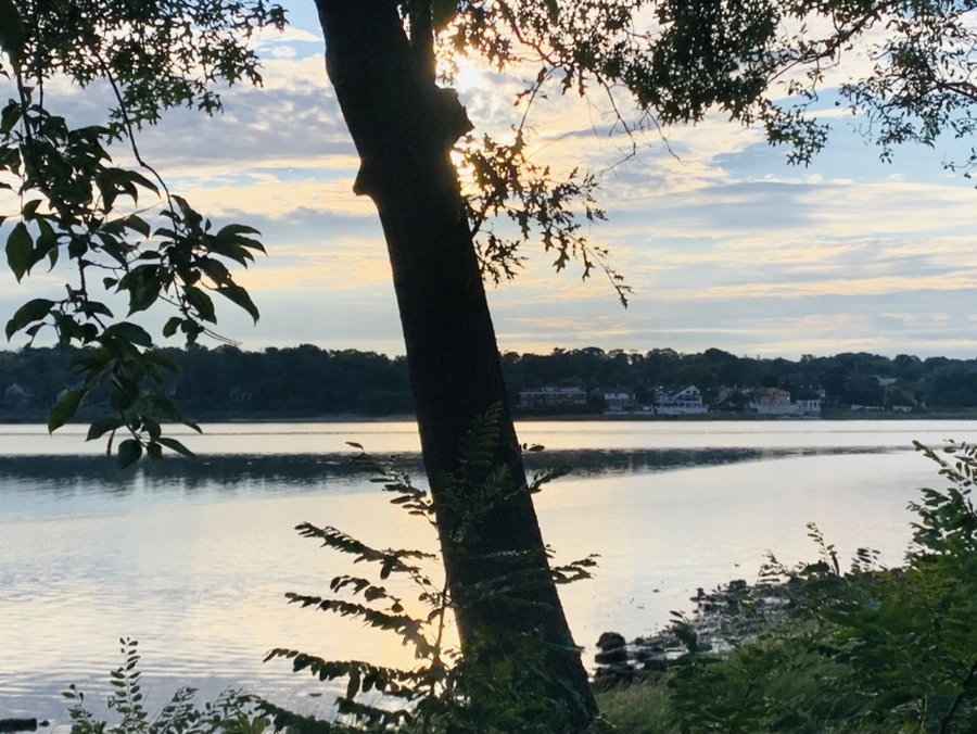 IMG_7746.jpg?type=w966