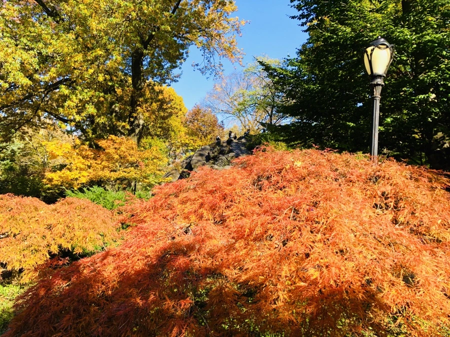 IMG_3772.jpg?type=w966