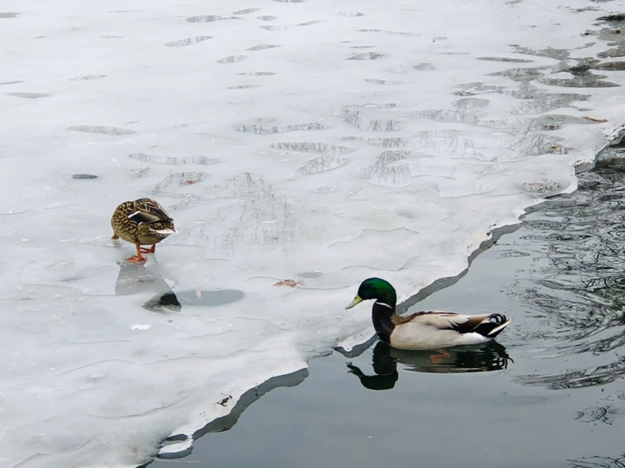 IMG_6279.jpg?type=w966