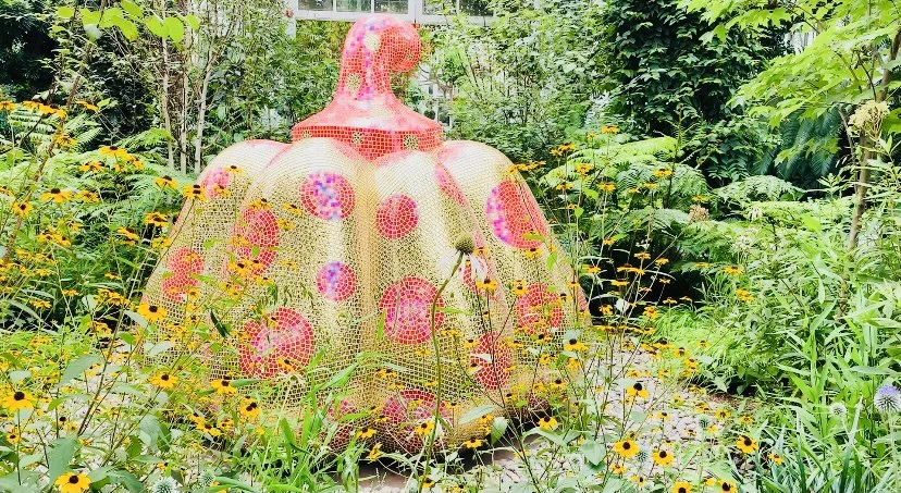 IMG_9546.jpg?type=w966