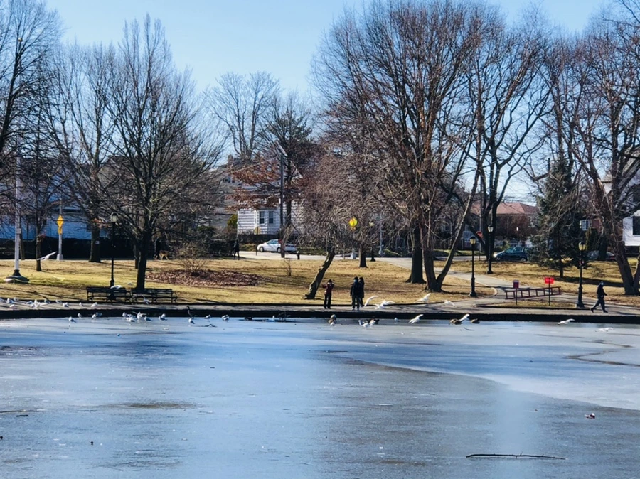 IMG_6563.jpg?type=w966