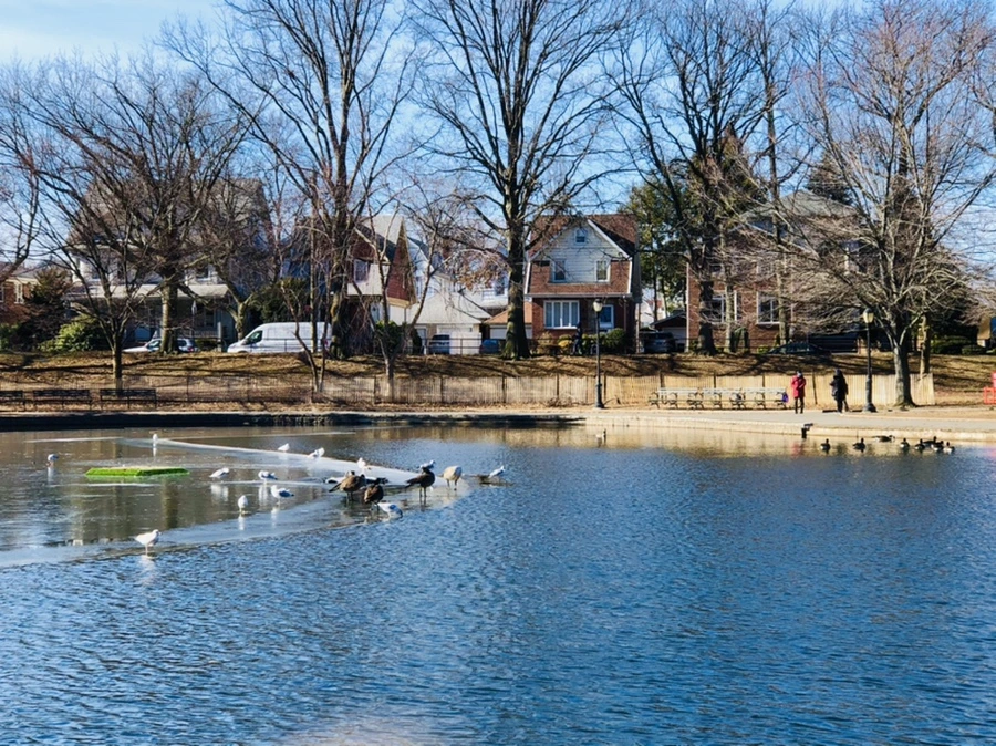 IMG_5315.jpg?type=w966